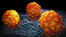 Метастаз раковых клеток можно предотвратить, не позволяя им «толстеть»