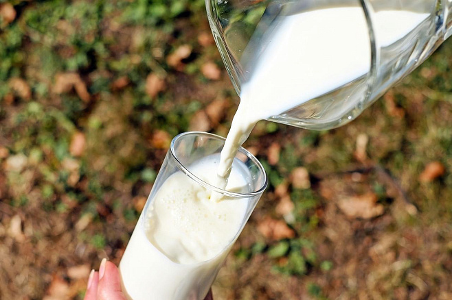 Доказана польза молока для продления жизни