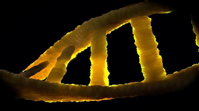 Ученые выяснили, как сделать генную терапию более эффективной