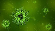 Вирус Эбола отключает иммунную защиту организма