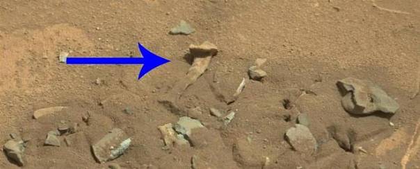 Предполагаемая человеческая кость на фотографии Марса является горной породой