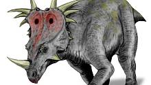 Найден сильно асимметричный череп динозавра
