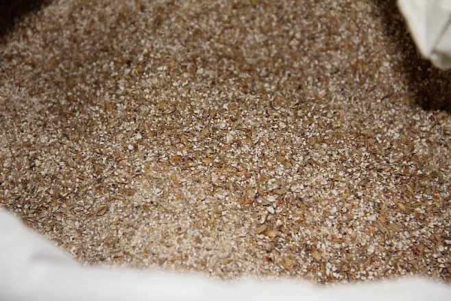 Остатки зерна на пивоваренных заводах могут быть преобразованы в топливо