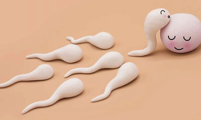 Поздний сон влияет на качество спермы у мужчин