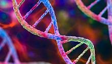 Учёные создали самостоятельно развивающуюся РНК