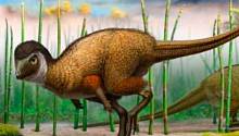 Перья возникли до появления динозавров и птиц