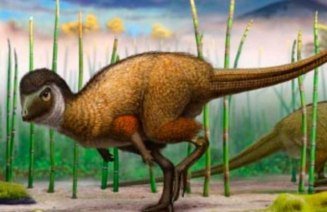 Перья возникли до появления динозавров и птиц