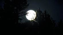 В ночь с субботы 18 мая можно увидеть голубую луну