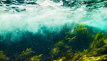 Предложена новая теория о том, как океанические микробы и минералы могли насытить Землю кислородом