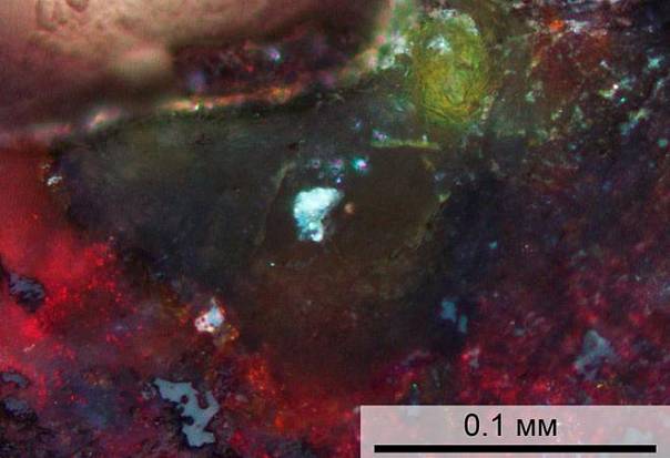 Российские ученые нашли на берегу Мертвого моря вещества, из которых могла возникнуть жизнь на Земле