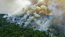 Амазонские леса выделяют больше углекислого газа, чем поглощают