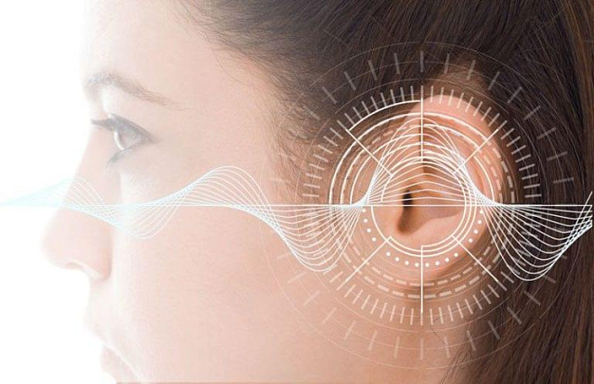 Ученые смогли восстановить слух путем выращивания волосковых клеток