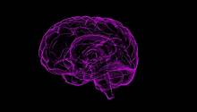 Сотрясение мозга изменяет способ передачи информации между двумя полушариями мозга