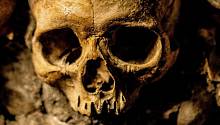 В мусорной яме археологи обнаружили черепа убитых инками деревенских жителей