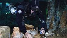 В затопленных пещерах Мексики обнаружена древние шахты возрастом 12 000 лет 