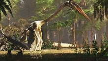 Ученые выяснили, каким образом птерозавры летали 