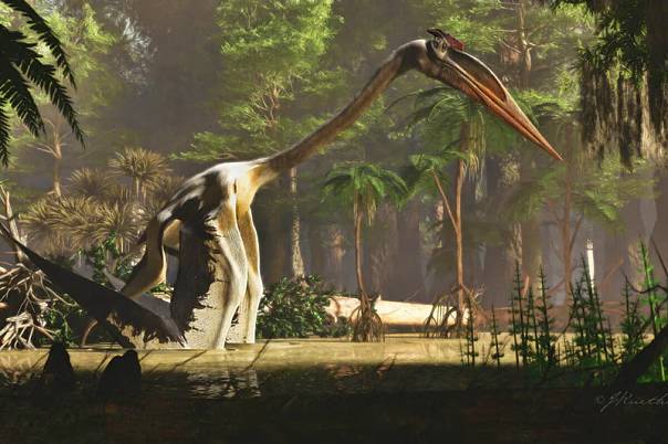 Ученые выяснили, каким образом птерозавры летали 