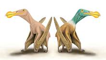 Опровергнуты доказательства того, что у доисторических летающих рептилий были перья 