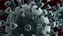 Мутация, помогающая коронавирусу «обманывать» вакцину, обнаружена в британском варианте SARS-CoV-2 