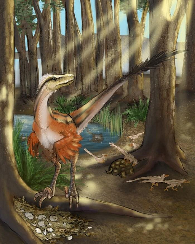 «Пернатый» динозавр  из Нью-Мехико охотился со скоростью гепарда