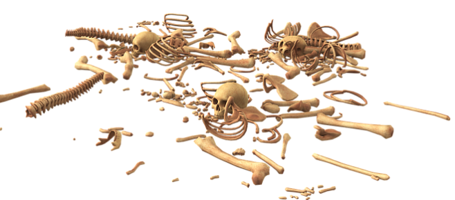 Изучение древних скелетов демонстрирует, как эволюционировали люди, чтобы бороться с патогенами  