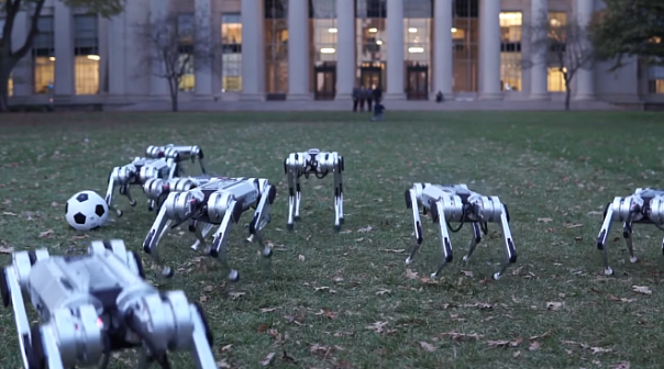 Инженеры из MIT выгуляли роботов-гепардов