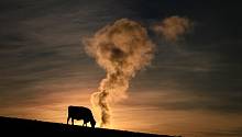 Достигнуто рекордное значение концентрации метана в атмосфере