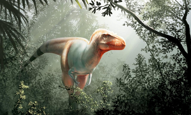 «Машина смерти»: найден новый вид динозавров