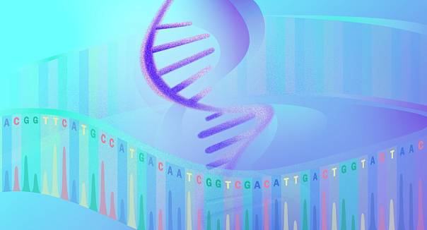 Учёный МФТИ создал новую классификацию структур некодирующих РНК