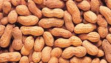 Аллергию на арахис можно вылечить имитацией лекарственного средства 