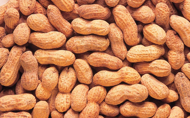 Аллергию на арахис можно вылечить имитацией лекарственного средства 