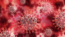 Универсальный экспресс-анализатор за 5 минут определяет наличие антигенов коронавирусов у человека и животных 
