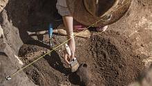 Создана поисковая система для археологов