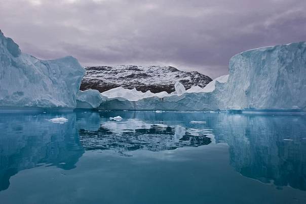 Ученые СПбГУ выяснили, как человек увеличивает биоразнообразие Арктики и Антарктики