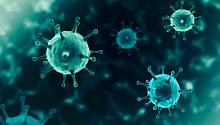 Добровольцы согласились повторно заразиться коронавирусом во благо науки