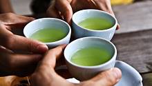 Антиоксидант из зеленого чая защищает «хранителя генома»