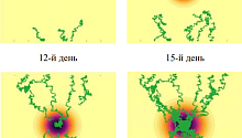 Разработка ученых Пермского Политеха позволит изучить влияние факторов окружающей среды на риск возникновения онкологических заболеваний