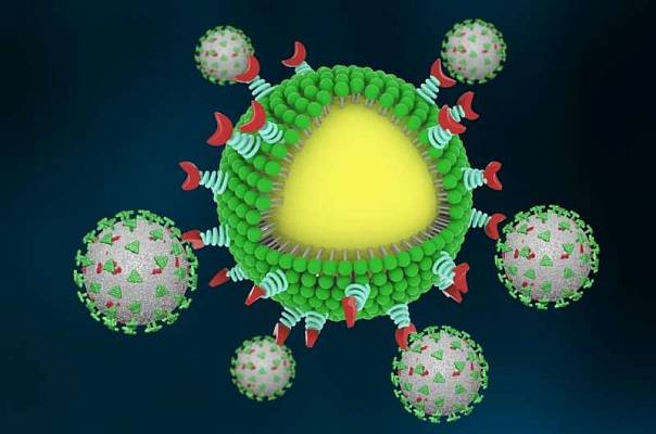 Созданы «наноловушки», захватывающие и убивающие коронавирус