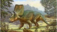 На ранчо основателя CNN нашли останки нового динозавра