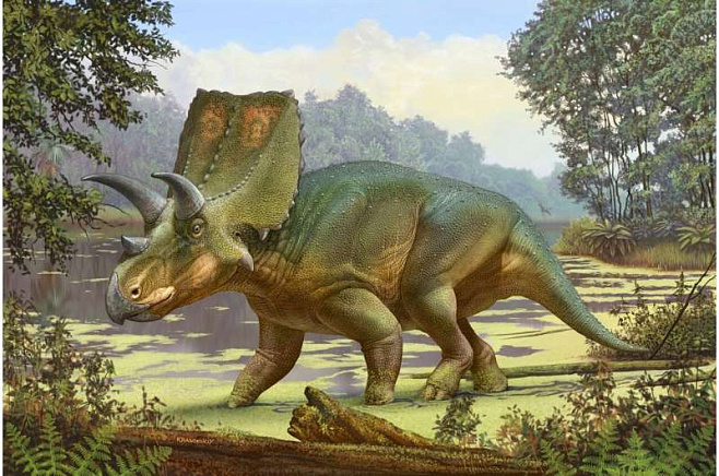 На ранчо основателя CNN нашли останки нового динозавра