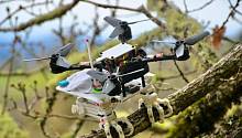Роботизированные лапы помогут дронам сидеть на ветках, как птицы