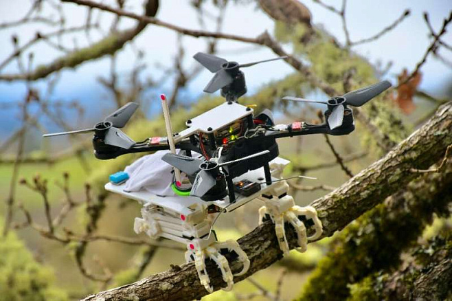 Роботизированные лапы позволят дронам сидеть на ветках, как птицы