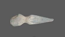 Найденный в Северной Каролине необычный каменный артефакт датируется 3000–1000 годами до нашей эры