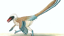 Ранее неизвестный птицеподобный динозавр был кровожадным охотником