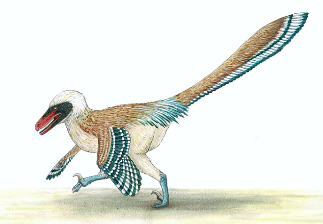 Ранее неизвестный птицеподобный динозавр был кровожадным охотником