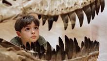Аргентинские ученые нашли дальнего родственника тираннозавра.