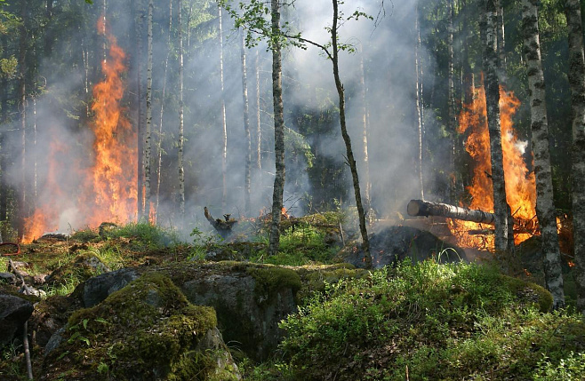Сибирь прошла пик лесных пожаров