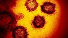 Новый коронавирус может распространяться через экскременты