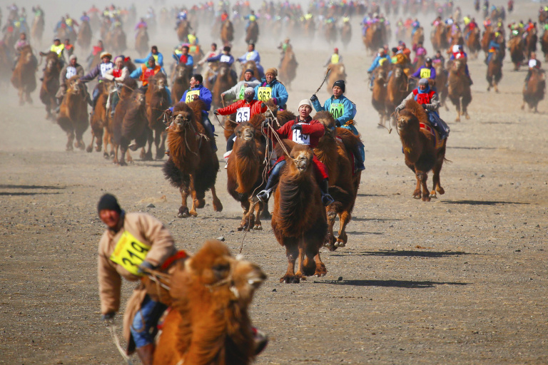 Фестиваль «тысячи верблюдов», пустыня Гоби, Монголия
