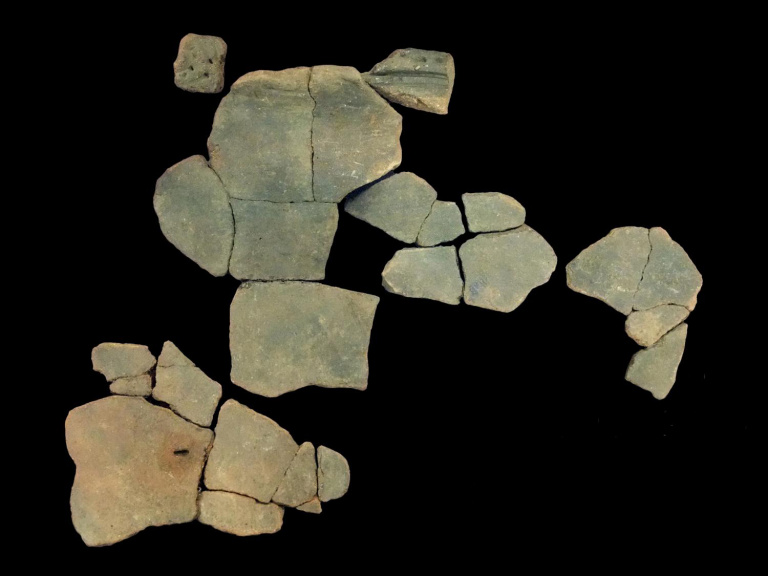 Фрагменты керамики периода Дзёмон с отпечатками тараканьих оотек